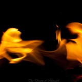 dailyPhoto21